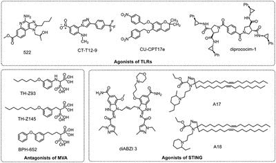 Emerging Adjuvants for Cancer Immunotherapy